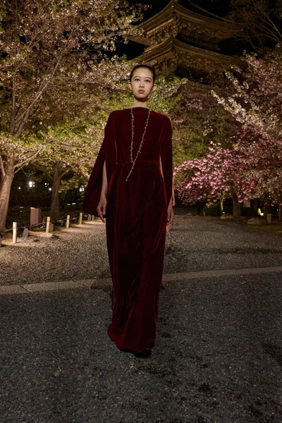 Look 67